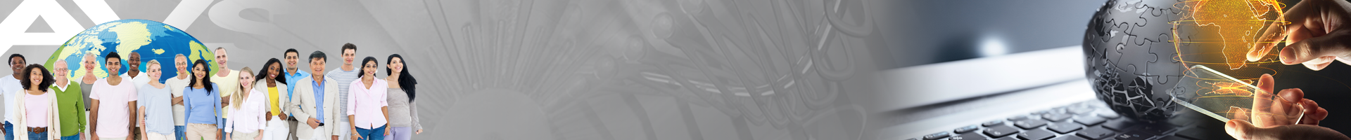 AVS Divisions Header Image